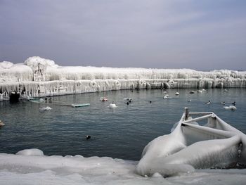 Frosty morning by the lake
