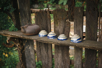 Close-up of objects on tree trunk