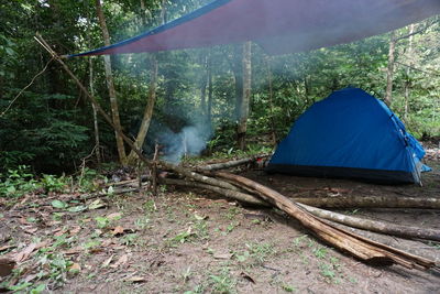 View of tent in forest