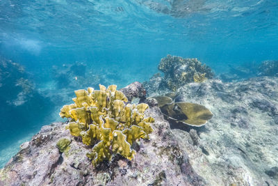 High angle view of rocks in sea