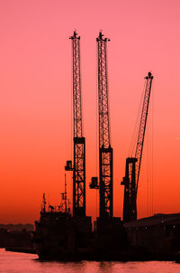 Silhouette of cranes at sunset