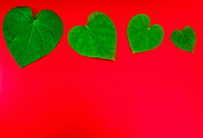 Directly above shot of heart shape on red leaves