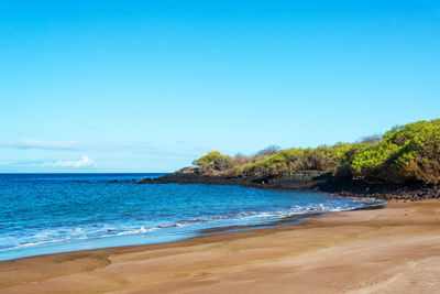 Scenic view of beach against clear sky