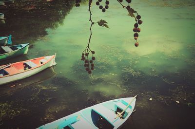 Boats moored in sea