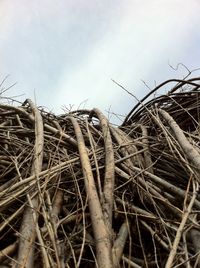 Close-up of stack against sky