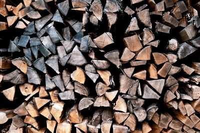 Full frame shot of logs in forest