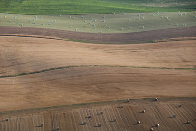 High angle view of agricultural field