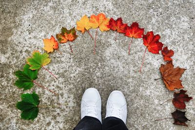 Low section of man standing by autumn leaves