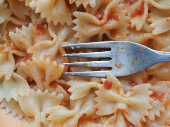 High angle view of pasta in plate