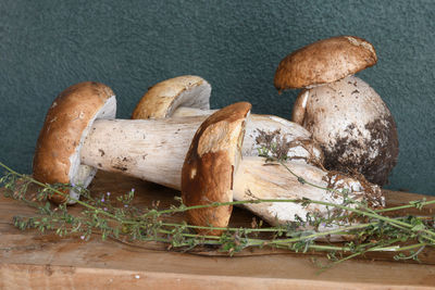 Close-up of mushrooms on table