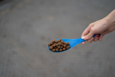 Midsection of person holding ice cream