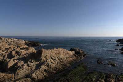 Scenic view of sea against clear sky