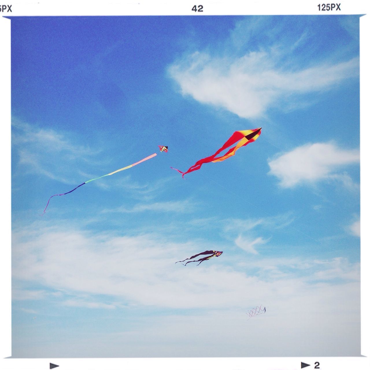 flying, low angle view, mid-air, sky, transportation, blue, cloud - sky, air vehicle, airplane, airshow, mode of transport, freedom, kite - toy, cloud, flag, wind, on the move, motion, patriotism, day