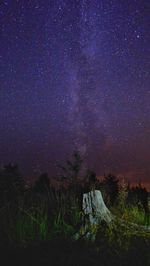 Tree stump on field against stars in sky at night