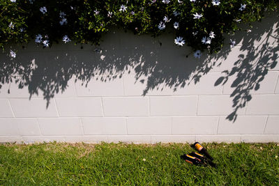 Man sitting on grass