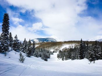 Snow covered trees on snowcapped mountain against sky