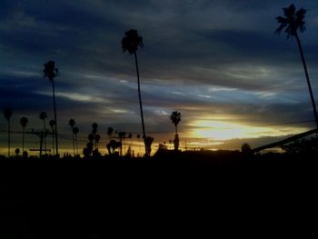 Silhouette of palm trees at sunset