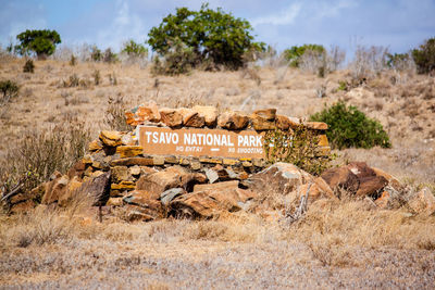 Tsavo east national park sign board on field