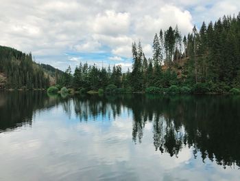 Scenic view of lake by trees against sky