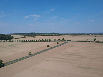 Scenic view of field against blue sky