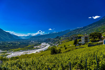 Scenic view of landscape against blue sky