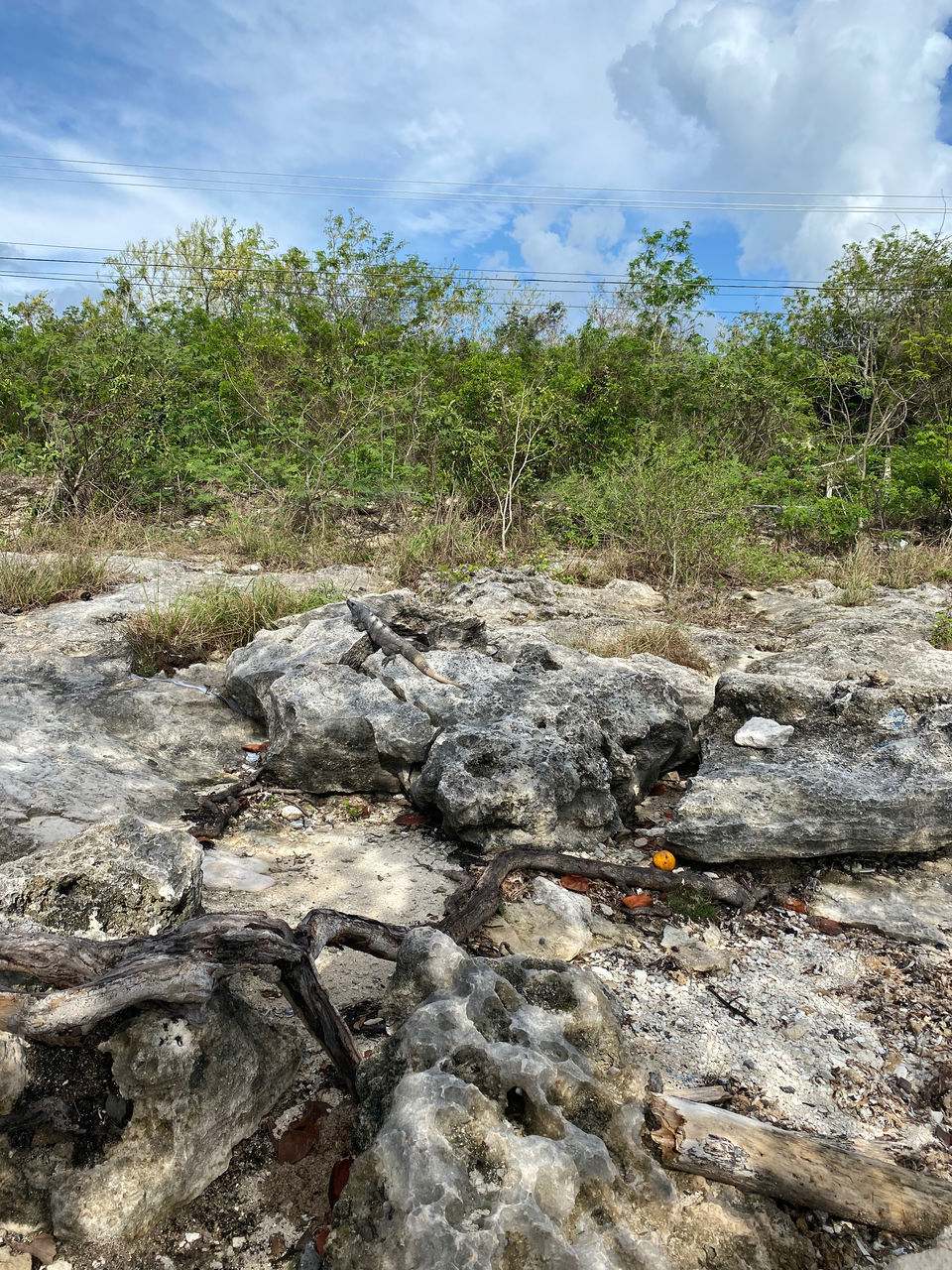 SCENIC VIEW OF LAND AGAINST SKY