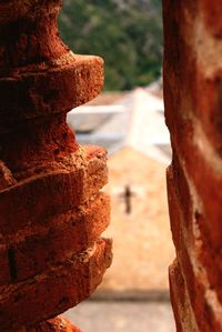 Close-up of rusty metal on tree trunk