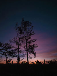 Silhouette of tree at sunset