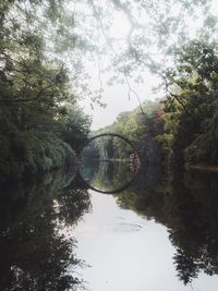 Reflection of trees in lake against sky