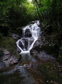 Waterfall amidst trees in forest