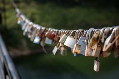 Close-up of padlocks on railing