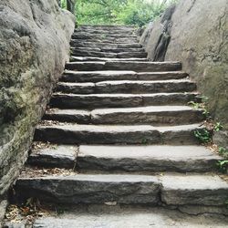 Low angle view of staircase