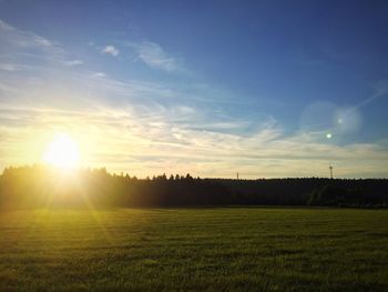 Scenic view of grassy field at sunset