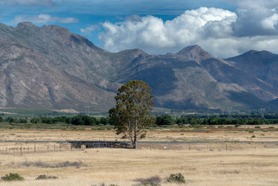 Scenic view of landscape and mountains against sky