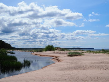 Scenic view of beach against sky