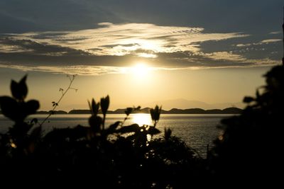 Silhouette trees by sea against sky during sunset