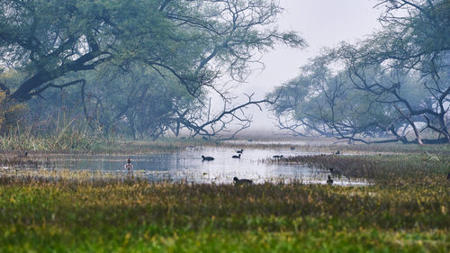 Scenic view of lake against sky
