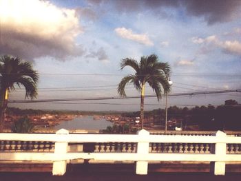 Palm trees against cloudy sky