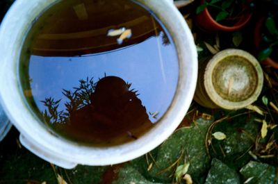 Directly above shot of drink on table