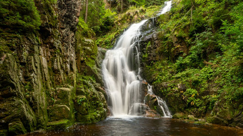 Scenic view of waterfall in forest