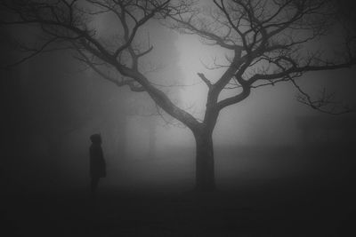 Silhouette of man walking on bare tree