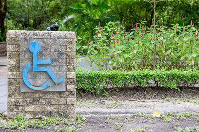 Disabled sign on retaining wall by plants