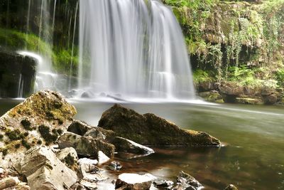 Scenic view of waterfall in forest