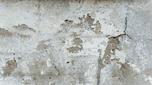 wall