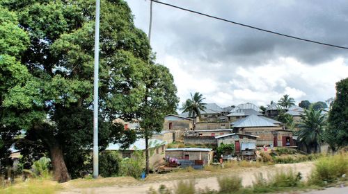 Houses and trees by building against sky