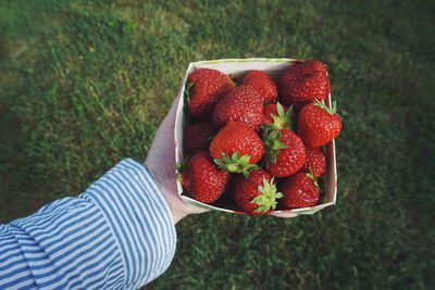 Close-up of hand holding strawberries