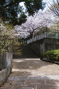 Footpath leading to building