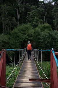 Rear view of person walking on footbridge against trees