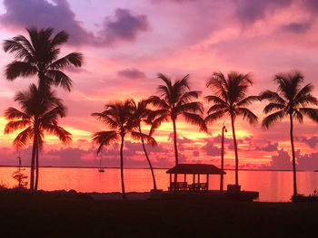 Silhouette palm trees on beach during sunset