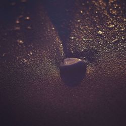 Close-up of pebbles in water